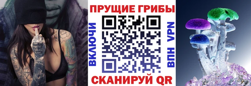 hydra   Лодейное Поле  Псилоцибиновые грибы Magic Shrooms  купить наркоту 